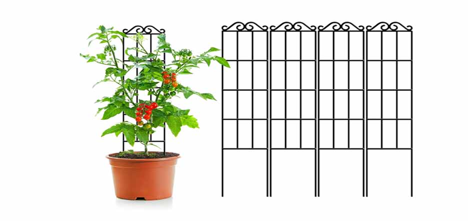 Шпалера для вьющихся растений, Тренды, Выбор и Умные Технологии в саду