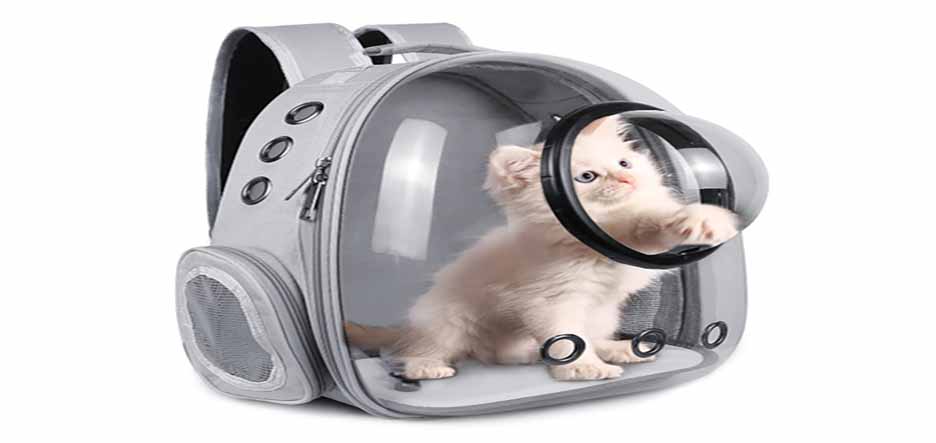 Рюкзак-переноска для кошек, выбираем лучший