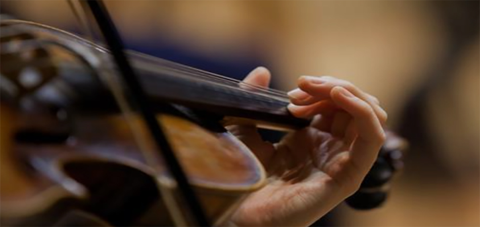 Скрипка для левшей, Как выбрать и где купить леворукую скрипку