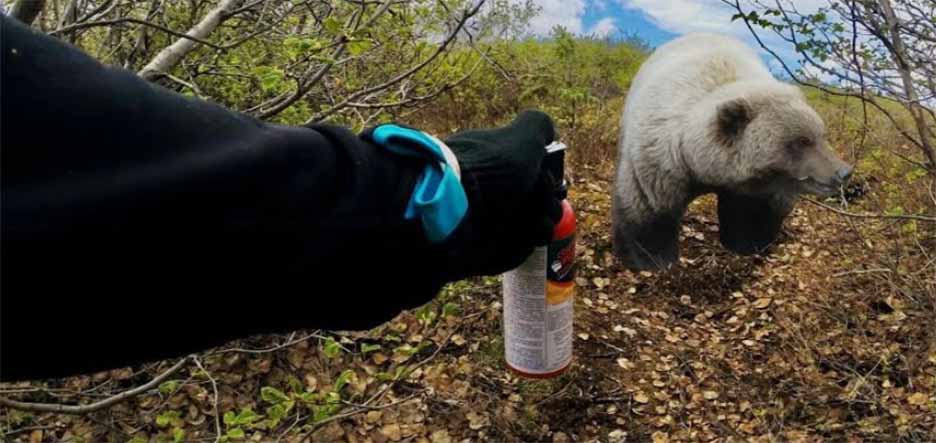 Спрей от медведей для безопасности в походах, Полное руководство