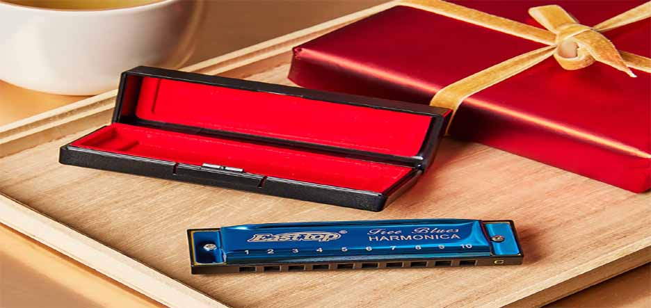 Губная гармошка до мажор, выбираем лучшую для старта