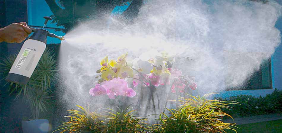 Увлажнитель-опрыскиватель для растений, ТОП моделей и технологии для идеального микроклимата